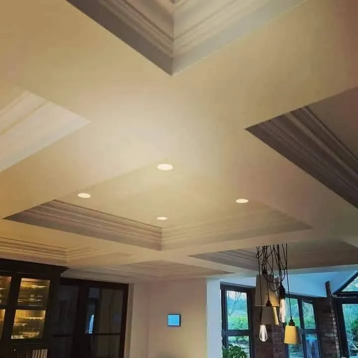 Coffered plaster ceiling with recessed downlights